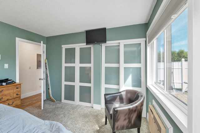 bedroom featuring baseboards, carpet floors, and a textured ceiling