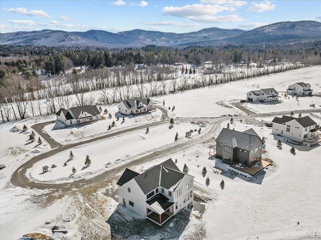 birds eye view of property featuring a mountain view