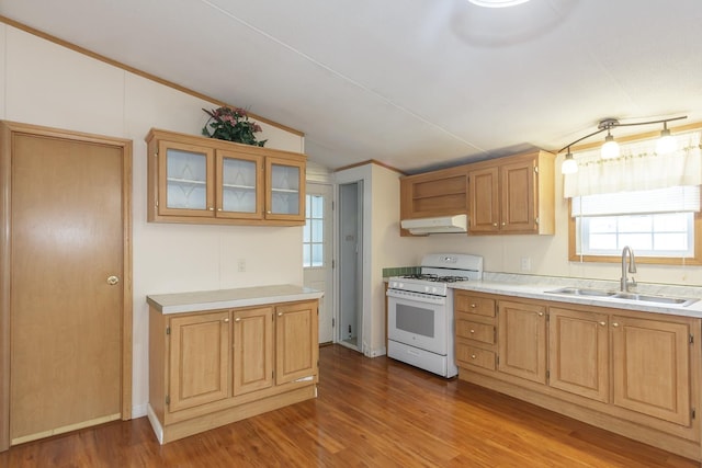 kitchen with under cabinet range hood, light countertops, white range with gas stovetop, and a sink