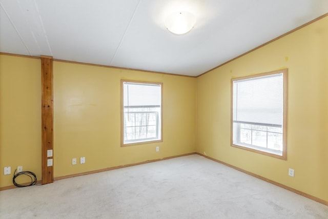 empty room with a wealth of natural light, lofted ceiling, and carpet