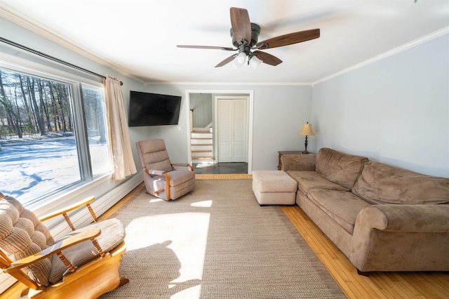 living area featuring stairway, ornamental molding, a ceiling fan, and hardwood / wood-style flooring