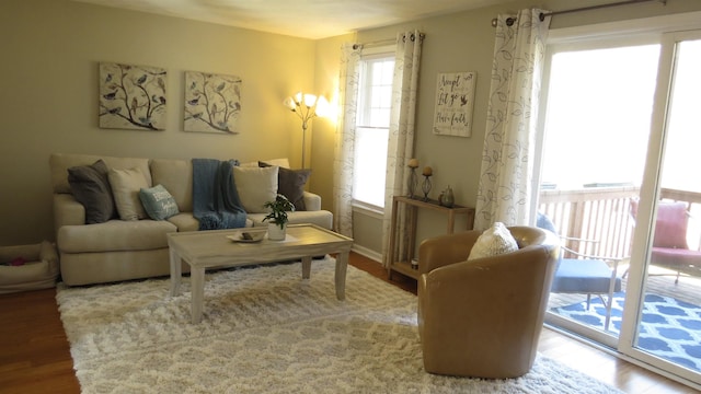 living area featuring wood finished floors