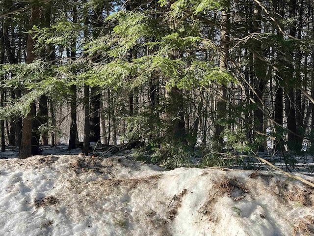 Listing photo 3 for Neal Hill Rd, Tuftonboro NH 03816