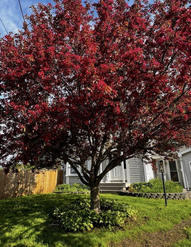 view of yard featuring fence