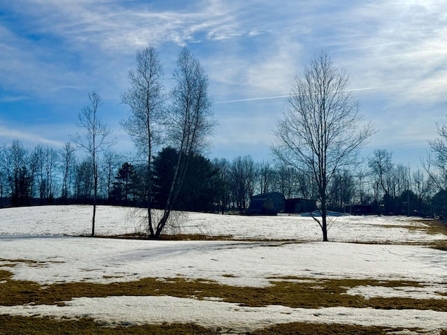 view of yard covered in snow