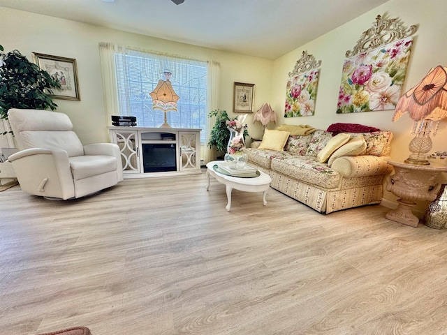 living area with a glass covered fireplace and wood finished floors