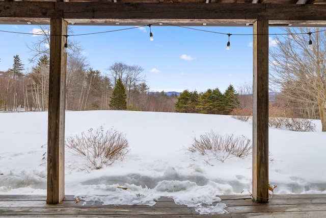 view of yard covered in snow