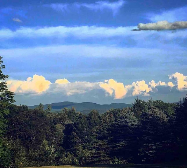 mountain view with a wooded view