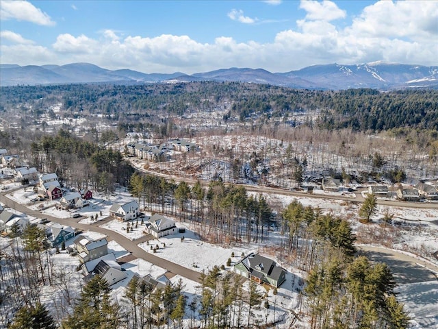 birds eye view of property with a mountain view