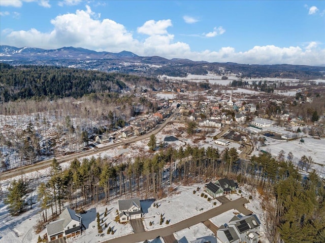 birds eye view of property featuring a mountain view