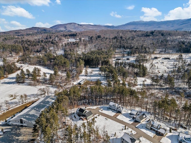 snowy aerial view with a mountain view