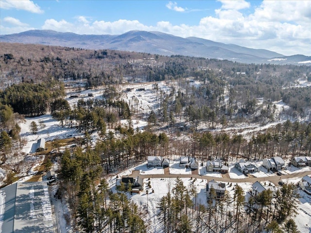 drone / aerial view with a mountain view