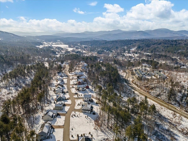 birds eye view of property featuring a mountain view