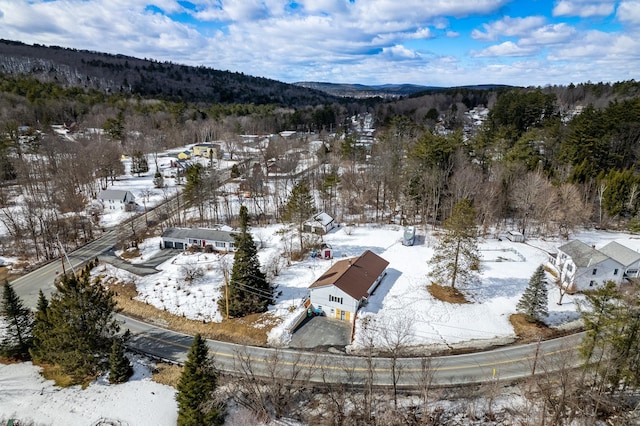 snowy aerial view with a wooded view