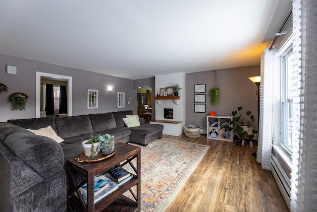 living area featuring a fireplace and wood finished floors