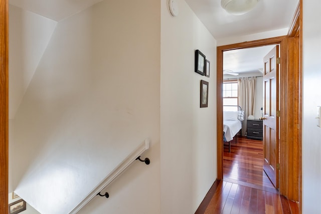 hallway with dark wood-type flooring