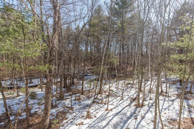 view of snow covered land featuring a wooded view