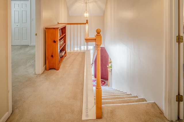 staircase with carpet