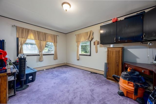 miscellaneous room with carpet flooring