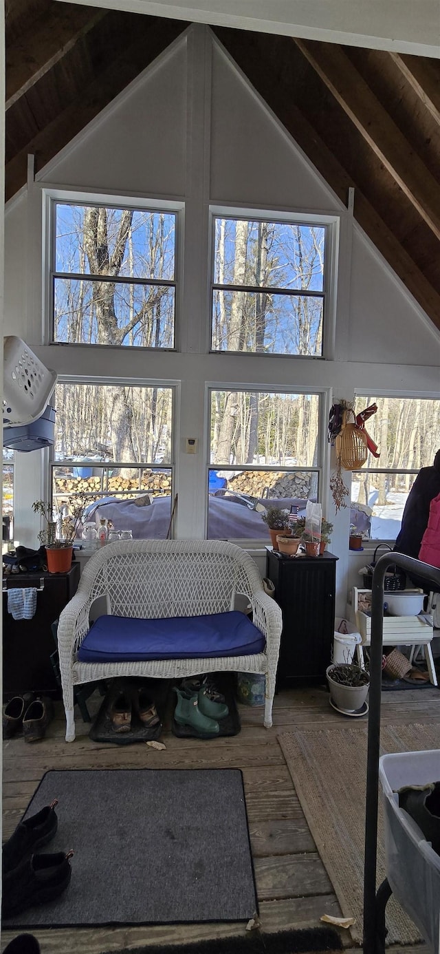 interior space featuring multiple windows, wood finished floors, and high vaulted ceiling