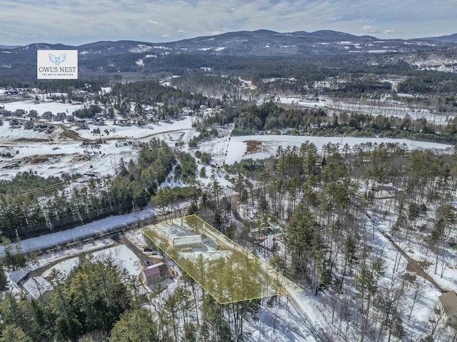 snowy aerial view featuring a mountain view