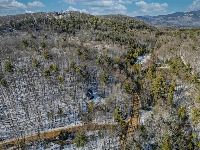 drone / aerial view featuring a mountain view and a wooded view