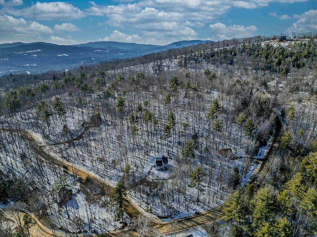 birds eye view of property featuring a wooded view and a mountain view