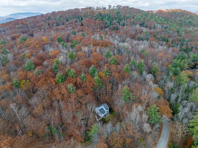 drone / aerial view with a mountain view and a wooded view