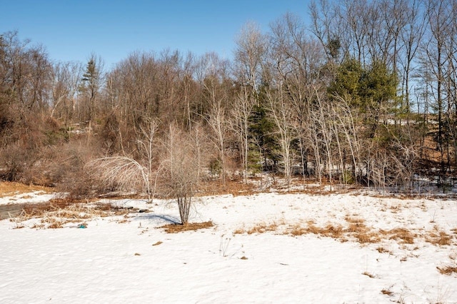 view of snow covered land