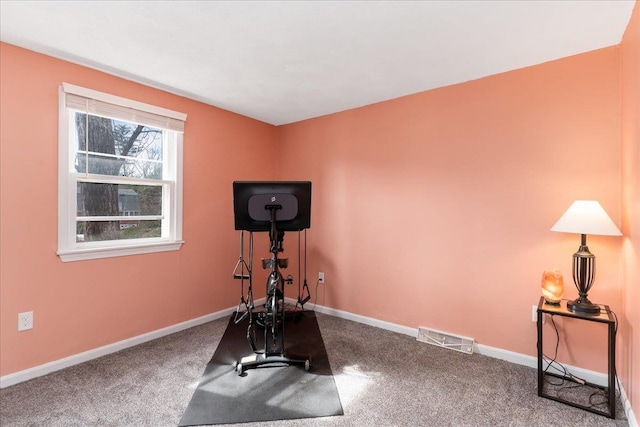 workout room with visible vents, carpet floors, and baseboards