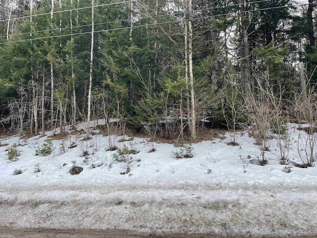 Listing photo 2 for LOT53 Apple Hill Rd, Sullivan NH 03445