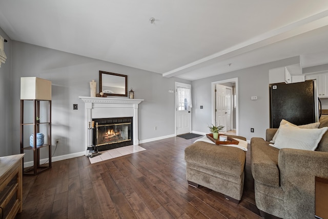 living area featuring baseboards, a fireplace with flush hearth, and dark wood-style flooring