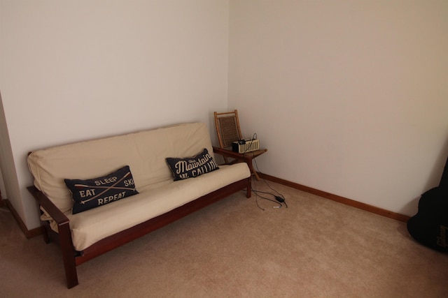 living area with baseboards and carpet floors