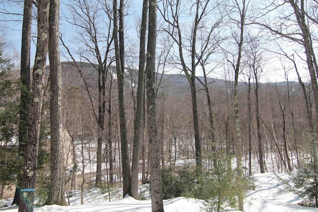 snowy landscape featuring a wooded view