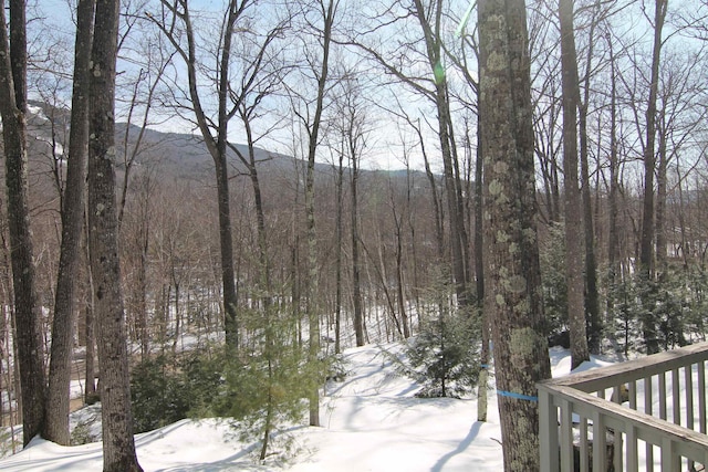 view of mountain feature featuring a forest view