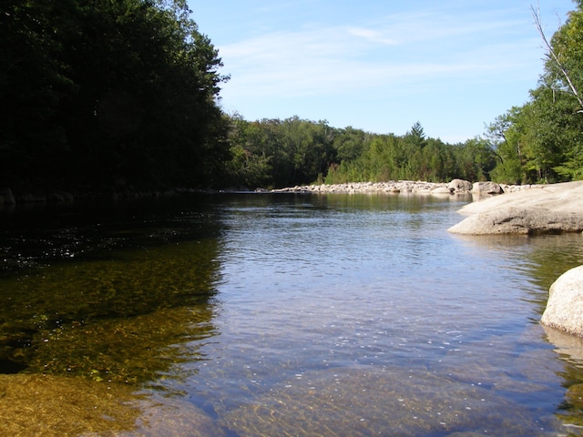 water view with a forest view