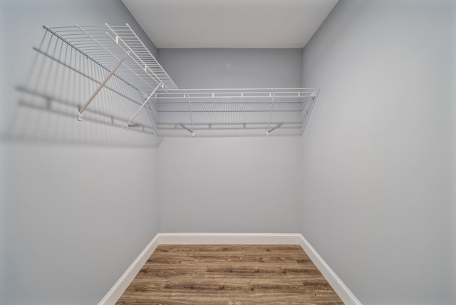 spacious closet featuring wood finished floors