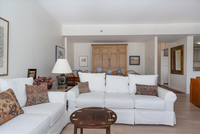 living room featuring baseboards and light wood-style floors