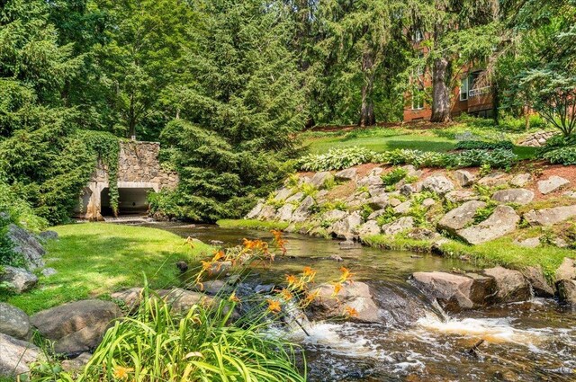 view of yard with a forest view