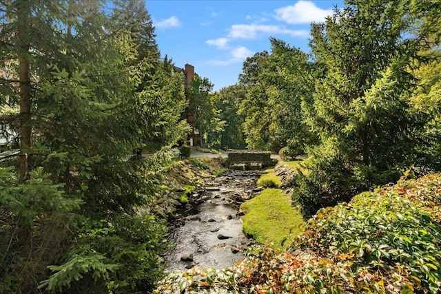 view of nature featuring a view of trees