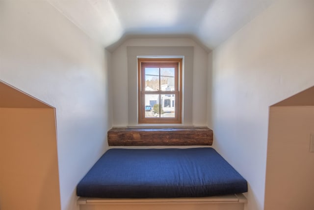 interior space featuring lofted ceiling