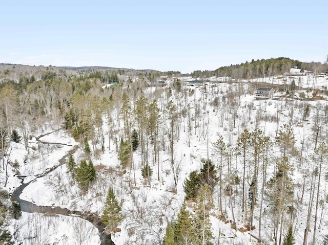 snowy view with a view of trees