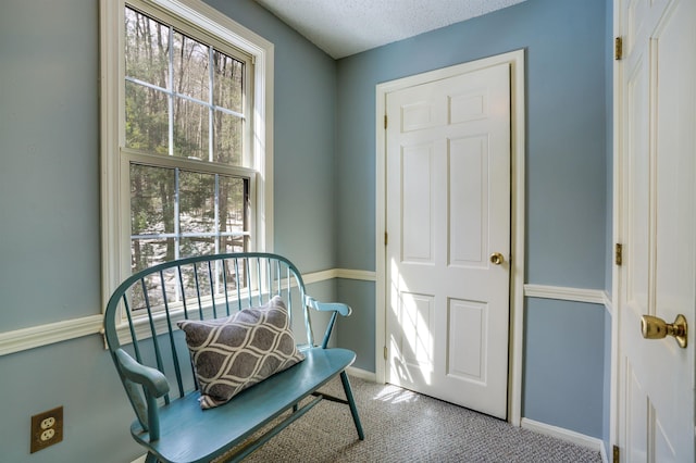 living area with baseboards, carpet, and a textured ceiling