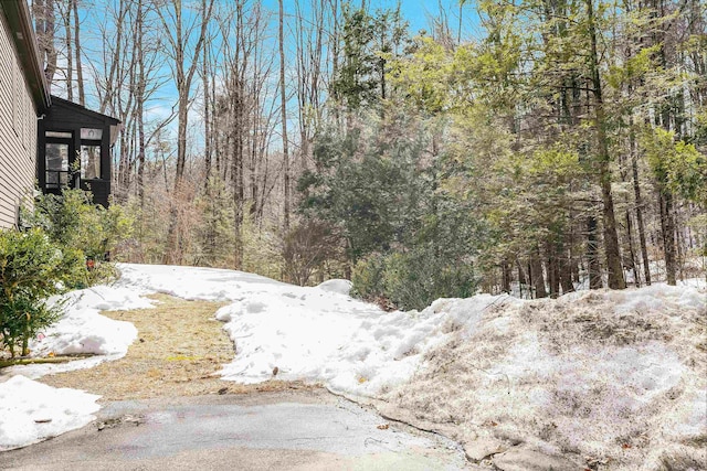 snowy landscape featuring a wooded view