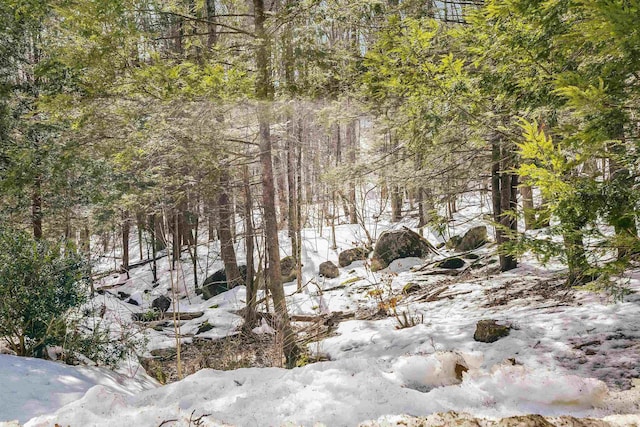 view of local wilderness with a view of trees