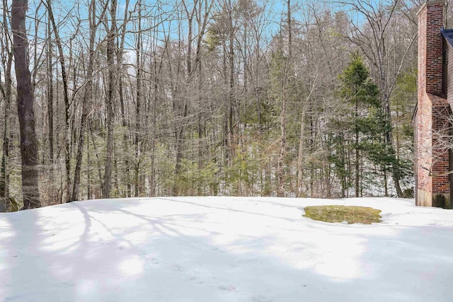 yard covered in snow featuring a wooded view