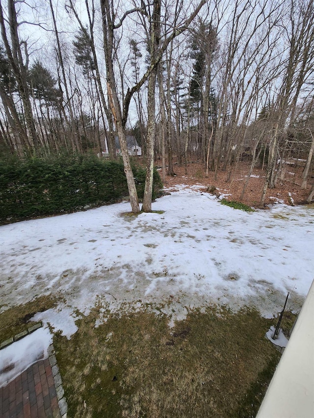 view of yard layered in snow