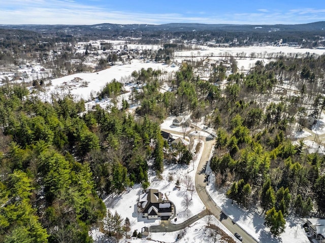 snowy aerial view featuring a mountain view