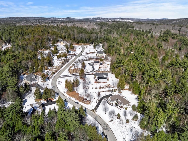 birds eye view of property featuring a forest view