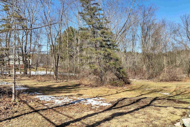 view of yard featuring a view of trees